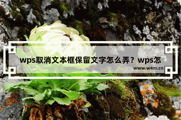 wps取消文本框保留文字怎么弄？wps怎么取消文本框保留文字教程