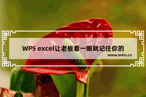 WPS excel让老板看一眼就记住你的表格