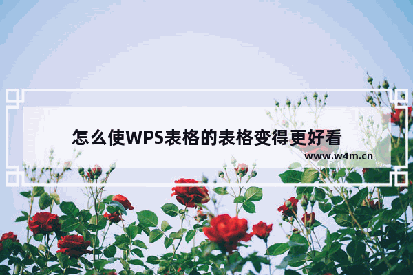 怎么使WPS表格的表格变得更好看