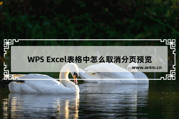 WPS Excel表格中怎么取消分页预览