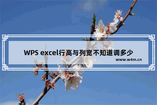 WPS excel行高与列宽不知道调多少为好，怎么办