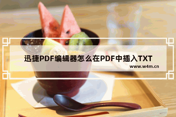 迅捷PDF编辑器怎么在PDF中插入TXT 插入方法介绍