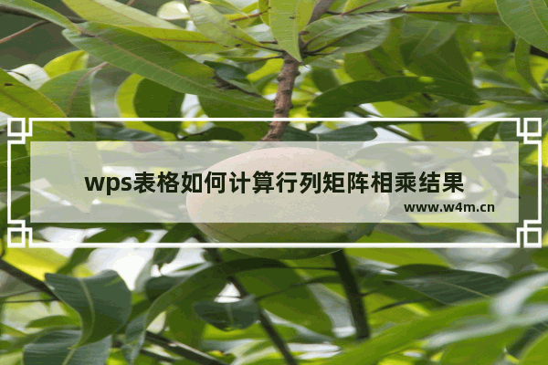 wps表格如何计算行列矩阵相乘结果