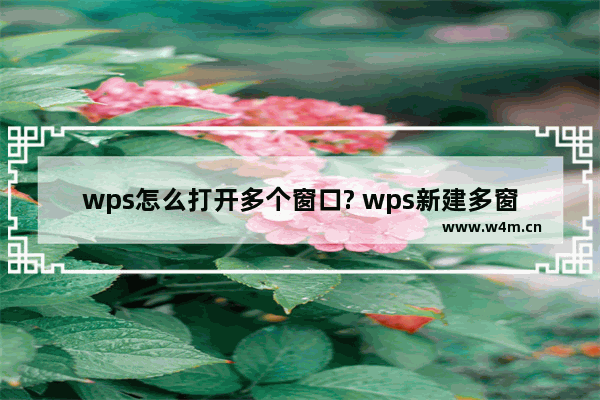 wps怎么打开多个窗口? wps新建多窗口模式的技巧