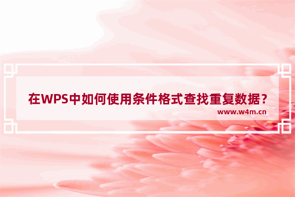 在WPS中如何使用条件格式查找重复数据？WPS使用条件格式查找重复数据的方法