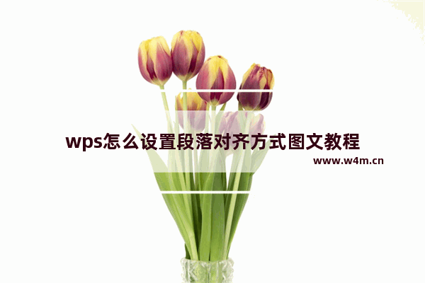 wps怎么设置段落对齐方式图文教程