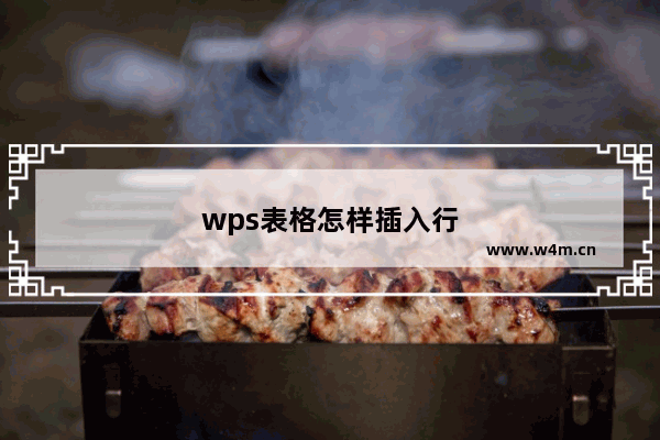 wps表格怎样插入行