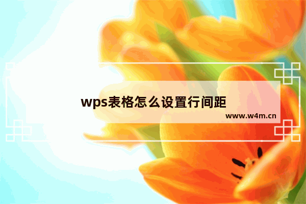 wps表格怎么设置行间距