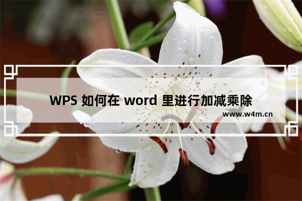 WPS 如何在 word 里进行加减乘除计算