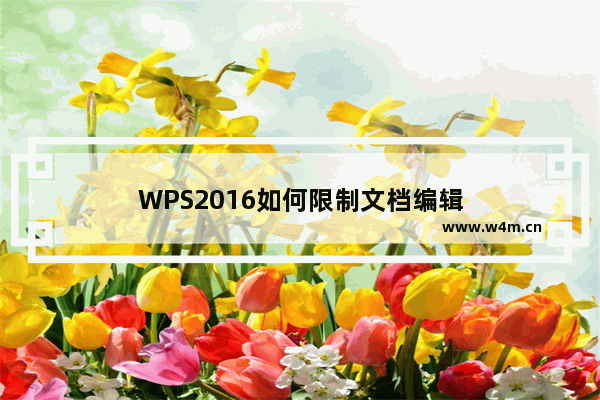 WPS2016如何限制文档编辑