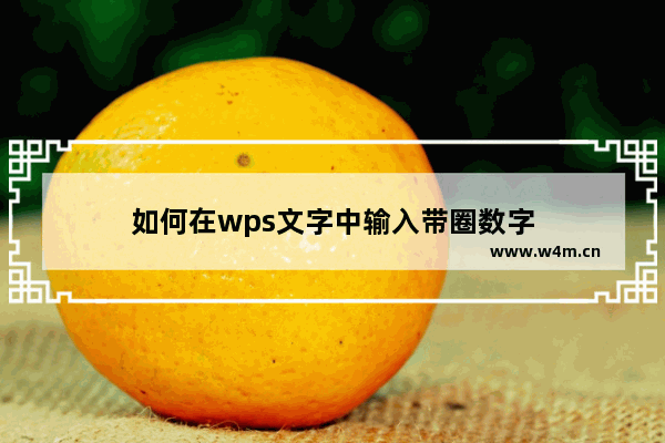 如何在wps文字中输入带圈数字