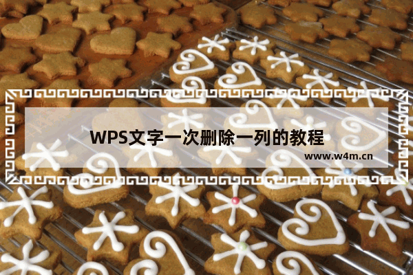 WPS文字一次删除一列的教程