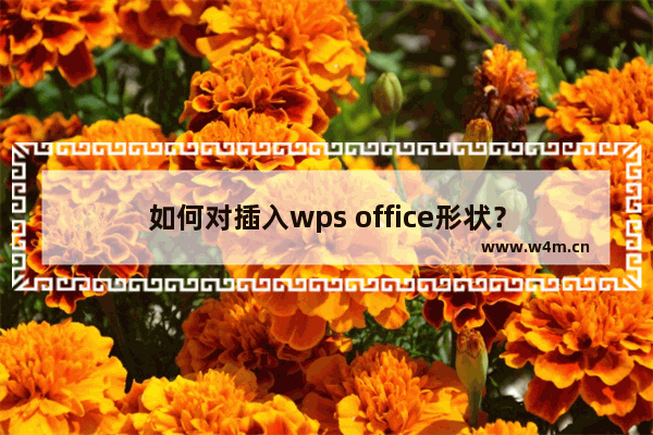 如何对插入wps office形状？