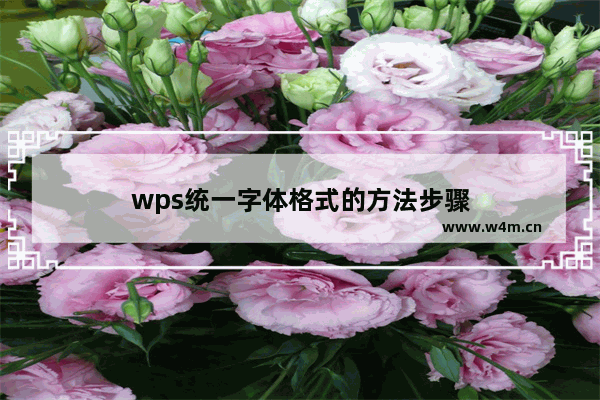 wps统一字体格式的方法步骤