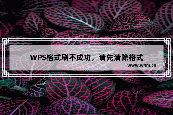 WPS格式刷不成功，请先清除格式