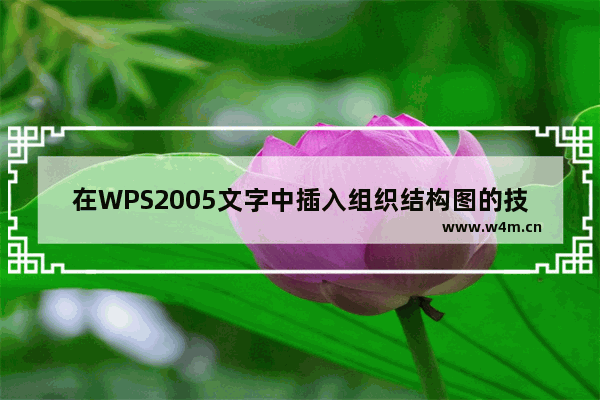 在WPS2005文字中插入组织结构图的技巧