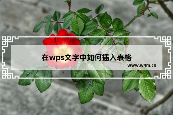 在wps文字中如何插入表格