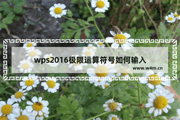 wps2016极限运算符号如何输入