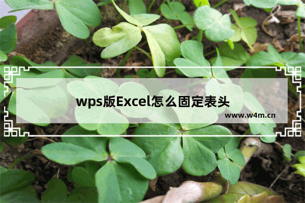 wps版Excel怎么固定表头