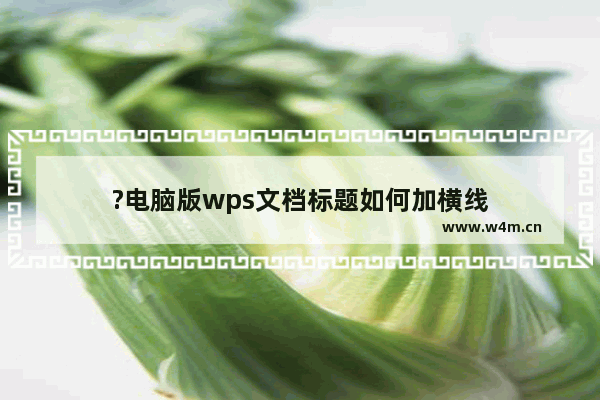 ?电脑版wps文档标题如何加横线