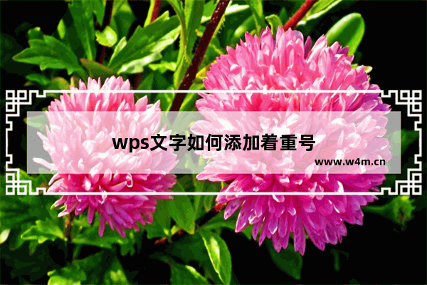 wps文字如何添加着重号