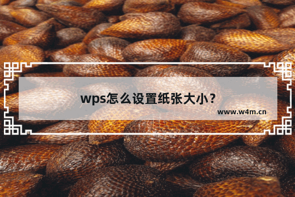 wps怎么设置纸张大小？