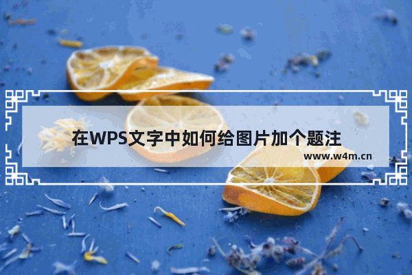 在WPS文字中如何给图片加个题注