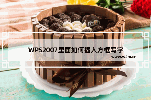 WPS2007里面如何插入方框写字