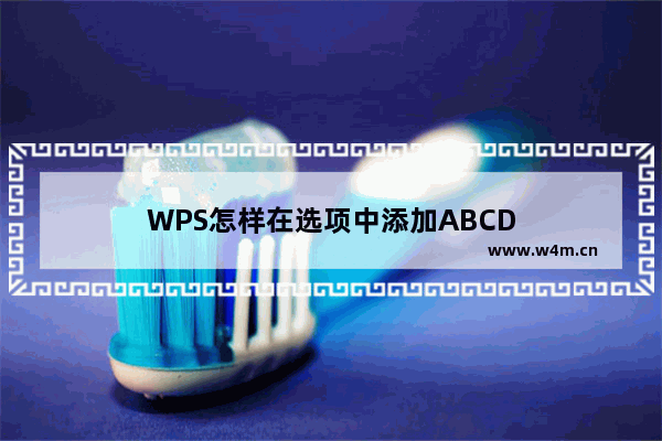 WPS怎样在选项中添加ABCD