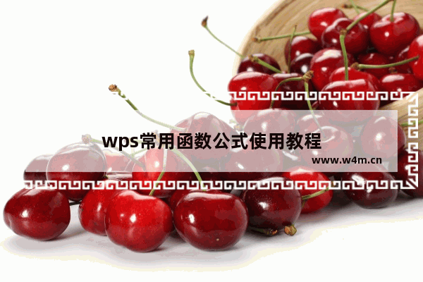 wps常用函数公式使用教程