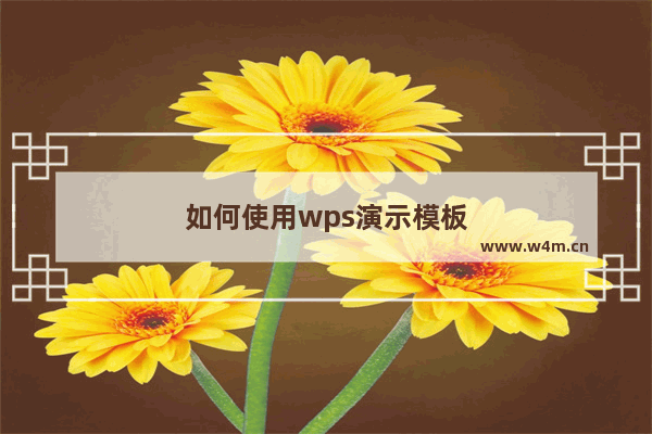 如何使用wps演示模板