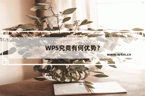 WPS究竟有何优势？