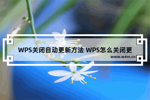 WPS关闭自动更新方法 WPS怎么关闭更新步骤