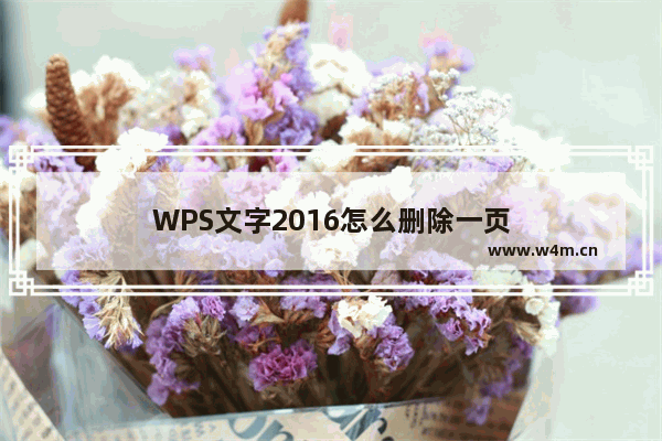 WPS文字2016怎么删除一页