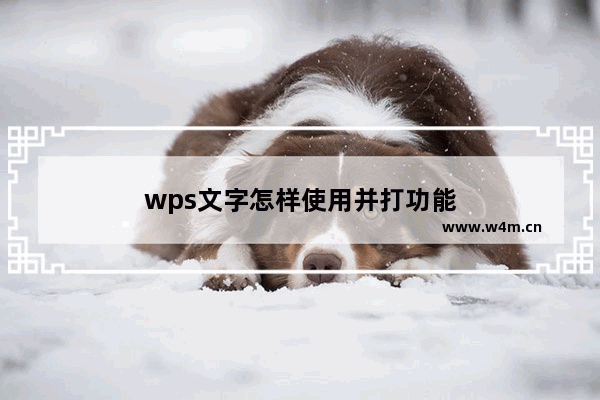 wps文字怎样使用并打功能