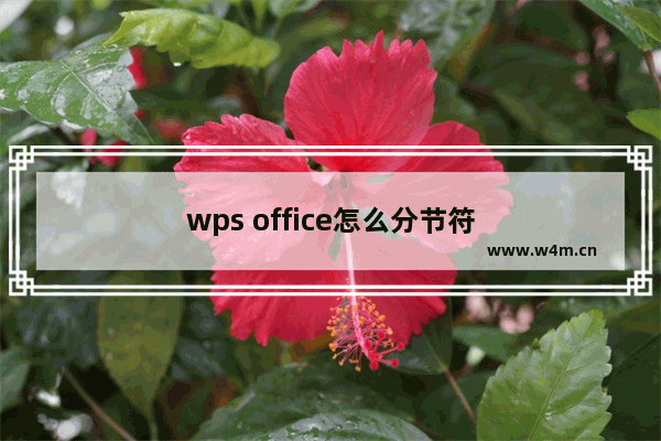 wps office怎么分节符