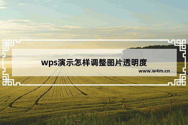 wps演示怎样调整图片透明度