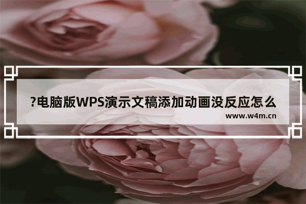 ?电脑版WPS演示文稿添加动画没反应怎么办