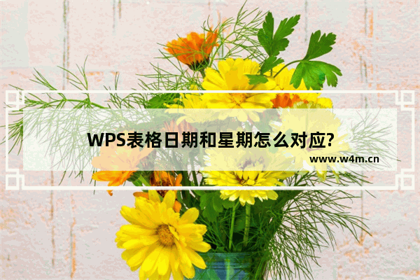 WPS表格日期和星期怎么对应?