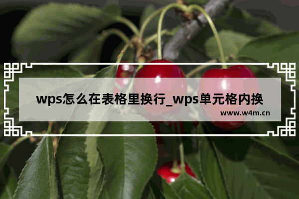 wps怎么在表格里换行_wps单元格内换行教程