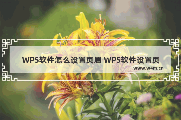 WPS软件怎么设置页眉 WPS软件设置页眉的操作方法详细教程分享