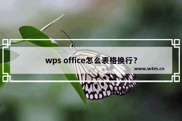 wps office怎么表格换行？