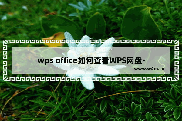 wps office如何查看WPS网盘-wps office查看WPS网盘的方法