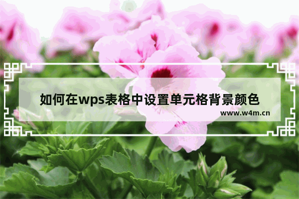 如何在wps表格中设置单元格背景颜色