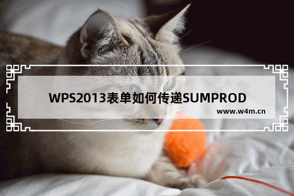 WPS2013表单如何传递SUMPRODUCT函数统计数据