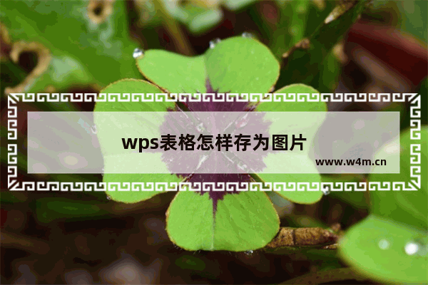 wps表格怎样存为图片