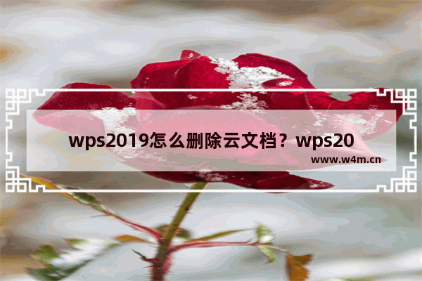 wps2019怎么删除云文档？wps2019备份云文档的删除方法