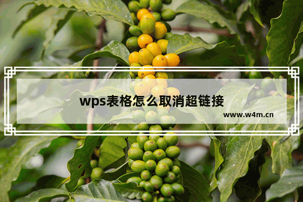 wps表格怎么取消超链接