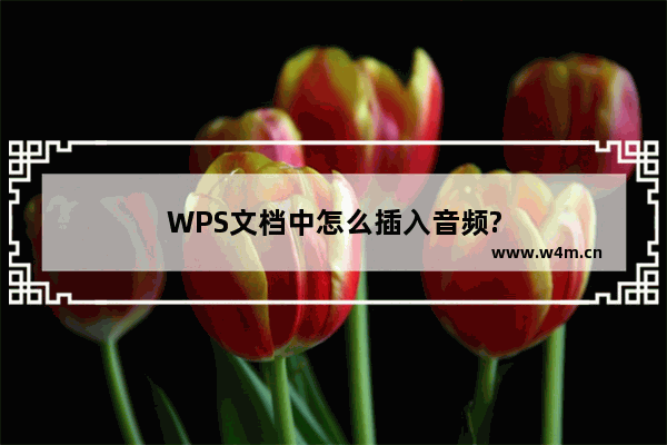 WPS文档中怎么插入音频?