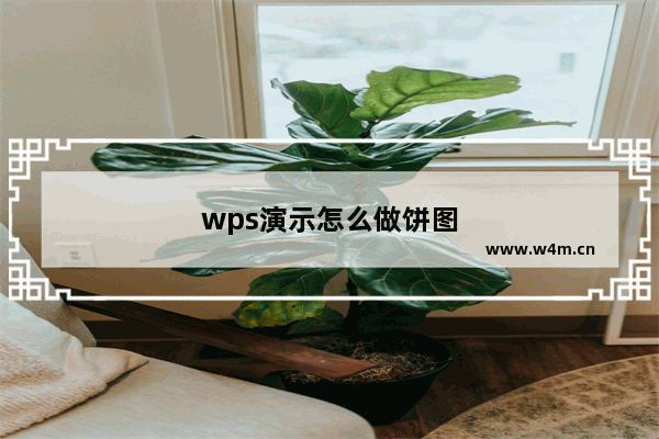 wps演示怎么做饼图